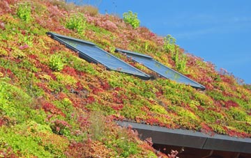 New Bolingbroke living roof systems